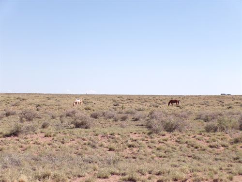 A Place to Slow Down and Breathe : Sun Valley : Navajo County : Arizona