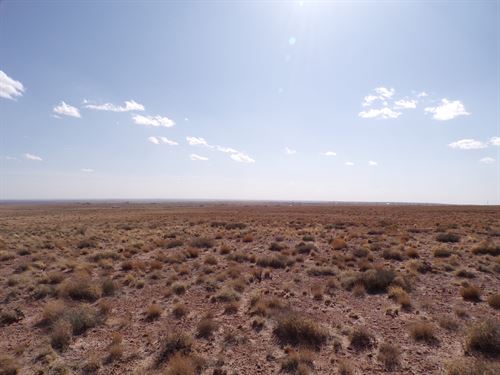 Off-Grid Desert Escape Affordable : Sun Valley : Navajo County : Arizona