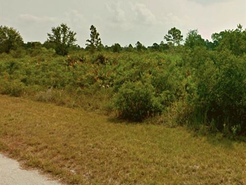 Peaceful, No HOA, Owner Financing : Lake Placid : Highlands County : Florida