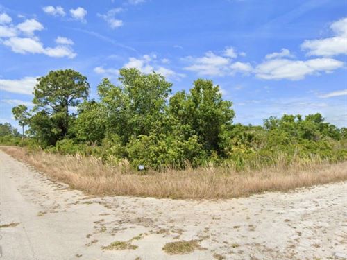 Peaceful, No HOA, Owner Financing : Lake Placid : Highlands County : Florida