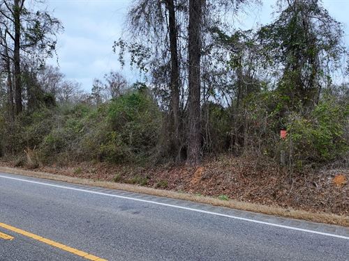 3.19 Acres in Crenshaw County, AL : Luverne : Crenshaw County : Alabama