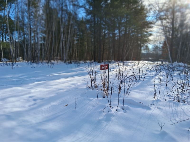 Acreage with Well, Septic, Electric : Trego : Washburn County : Wisconsin