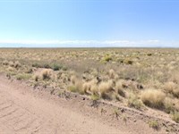 4.5 Ac of Peace in Costilla, $99/Mo : Blanca : Costilla County : Colorado