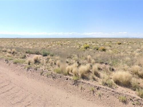 4.5 Ac of Peace in Costilla, $99/Mo : Blanca : Costilla County : Colorado