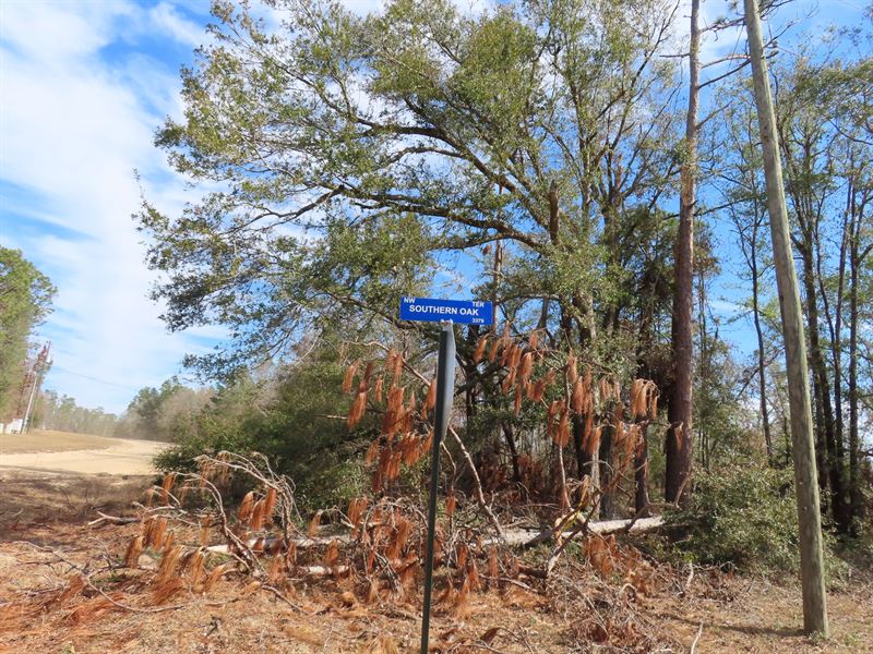 This Much Land in Florida : Jennings : Hamilton County : Florida