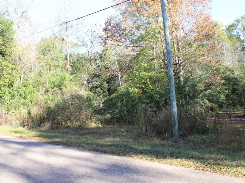 2.056 Acres Lot 2 in Washington : Bogalusa : Washington Parish : Louisiana