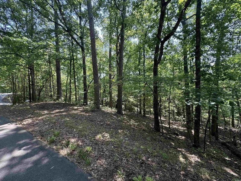 Prime Lakeview Retreat .22-Acre : Hot Springs Village : Saline County : Arkansas