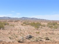 1 Acre, Infinite Horizons : Meadview : Mohave County : Arizona