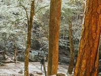 No HOA, Lake Access, Low Taxes : Williford : Sharp County : Arkansas