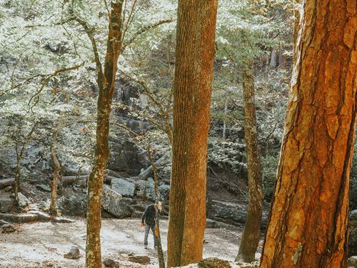 No HOA, Lake Access, Low Taxes : Williford : Sharp County : Arkansas