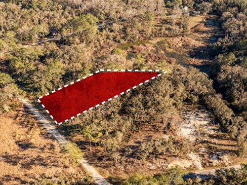 Peaceful Rural Setting : Webster : Hernando County : Florida