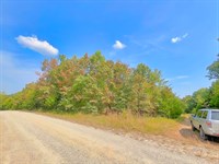 Private Corner Lot with Utilities : Horseshoe Bend : Izard County : Arkansas