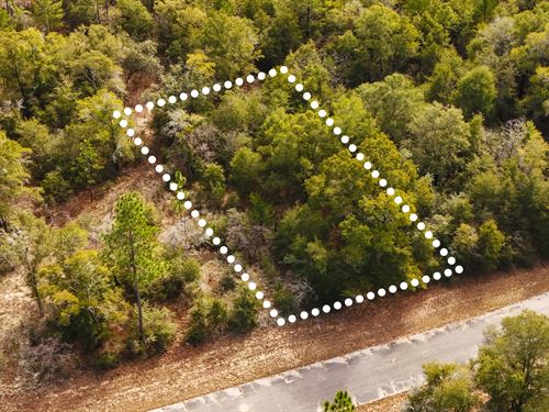 No HOA Lot, Owner Financing : Chipley : Washington County : Florida