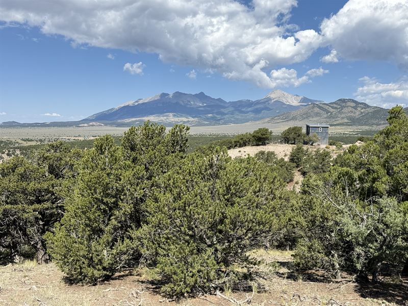 Mountain Views with Trees At 5300Ft : Fort Garland : Costilla County : Colorado