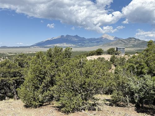 Mountain Views with Trees At 5300Ft : Fort Garland : Costilla County : Colorado