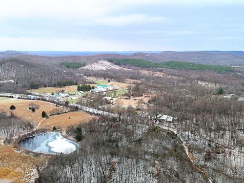 Pocket of Woods in Chillicothe : Chillicothe : Ross County : Ohio