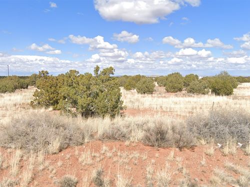 Your Exit Plan From Traffic : Snowflake : Navajo County : Arizona