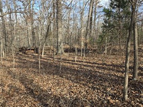 Quiet River Country Hideaway : Hardy : Sharp County : Arkansas