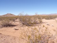 Kingman AZ Off-Grid Flex Lot : Kingman : Mohave County : Arizona
