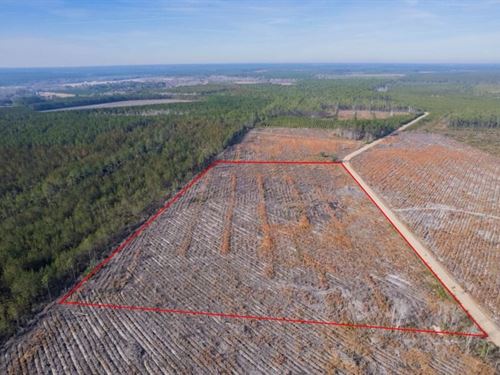 14 Acres Tract in Morris Break Road : Odum : Wayne County : Georgia