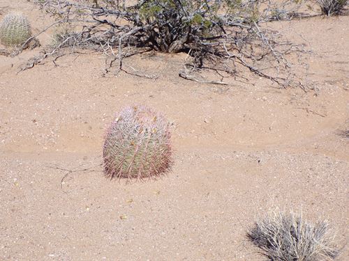 Wide-Open Kingman Freedom Lot : Kingman : Mohave County : Arizona