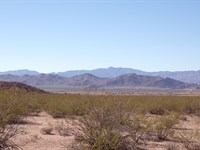 Room to Breathe Near Route 66 : Kingman : Mohave County : Arizona