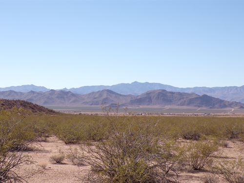 Room to Breathe Near Route 66 : Kingman : Mohave County : Arizona