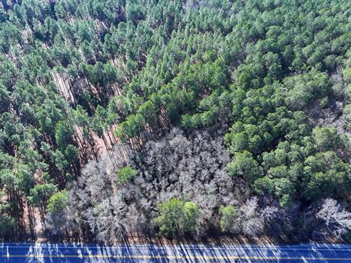 Lot 5 Rural Residential Lot : Fairmont : Robeson County : North Carolina