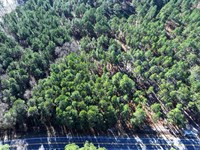 Lot 8 Wooded Residential Lot : Fairmont : Robeson County : North Carolina