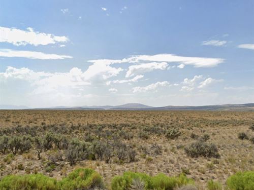 Secluded Lot, Near Creek, $1 Down : Spring Creek : Elko County : Nevada