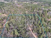 10 Acre Sierra Foothills Parcel in : Garden Valley : El Dorado County : California
