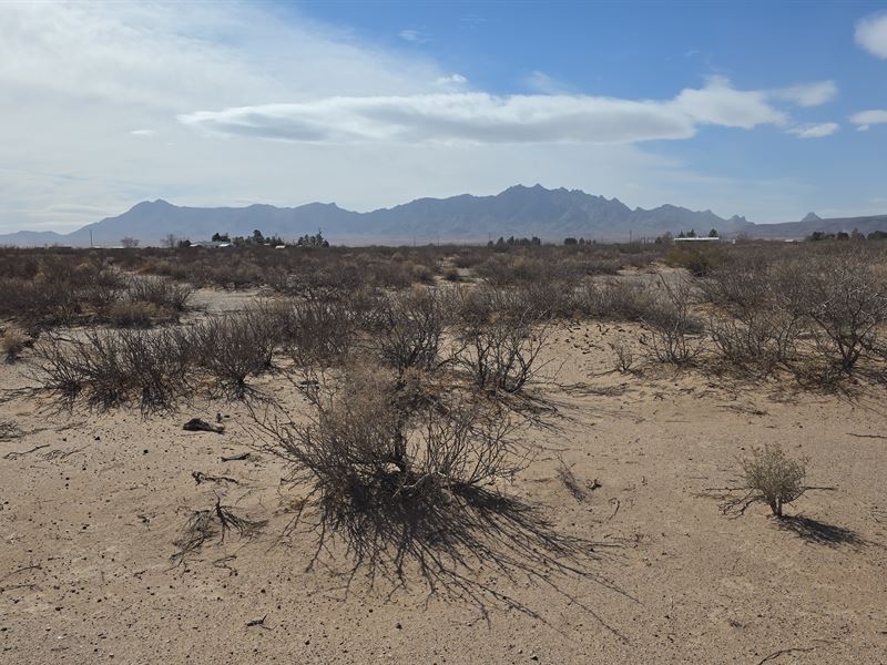 Your Affordable Desert Dream : Deming : Luna County : New Mexico