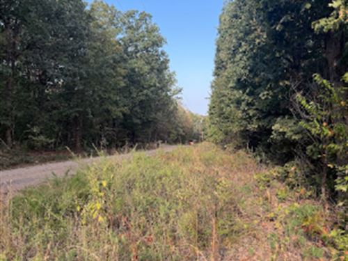 Ready-To-Use Williford Lot : Williford : Sharp County : Arkansas