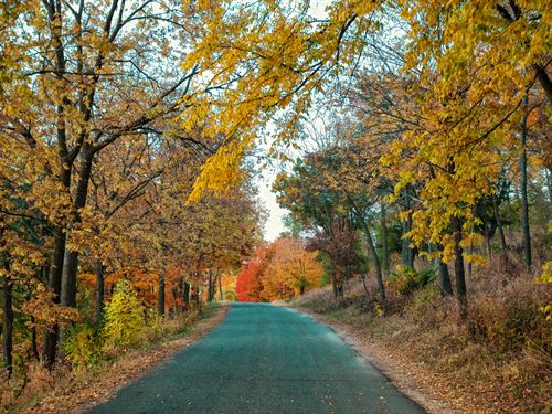 Scenic Lake Views in MN : Browerville : Todd County : Minnesota