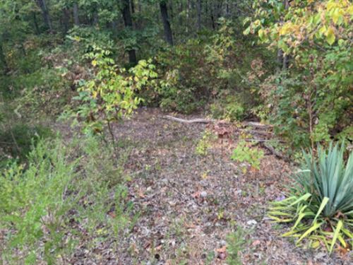 Oversized Residential Parcel : Cherokee Village : Sharp County : Arkansas