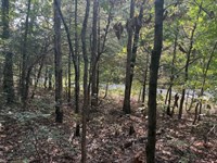 Smart Hold in Cherokee Village, AR : Cherokee Village : Sharp County : Arkansas