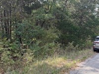 Residential Land Asset : Cherokee Village : Sharp County : Arkansas