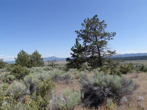 Experience The Beauty of Klamath : Chiloquin : Klamath County : Oregon