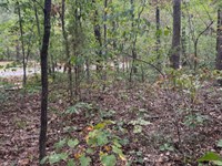 Lake-Proximate Build : Williford : Sharp County : Arkansas