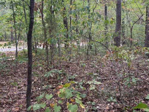 Lake-Proximate Build Lo : Williford : Sharp County : Arkansas