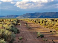 10.1 Acres & Agriculture Zoned Land : San Luis : Costilla County : Colorado