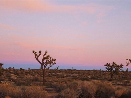 No Restrictions Near Albuquerque : Casa Colorada : Socorro County : New Mexico