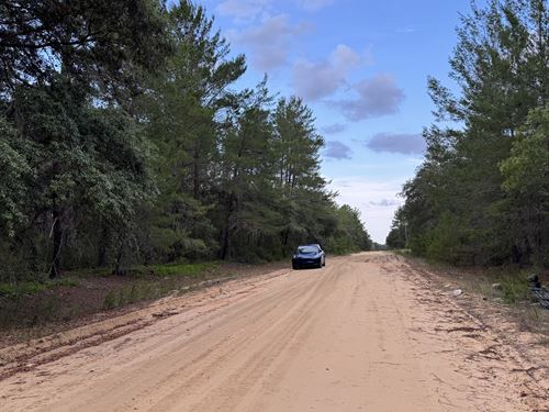 Build-Ready Lot in Interlachen Lake : Interlachen : Putnam County : Florida