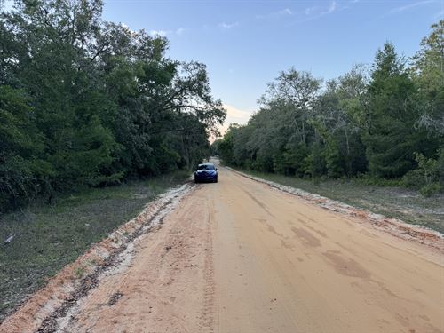 Mobile-Friendly Lot Near Lakes : Interlachen : Putnam County : Florida