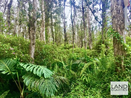 5 Min to Kehena Black Sand Beach : Pahoa : Hawaii County : Hawaii