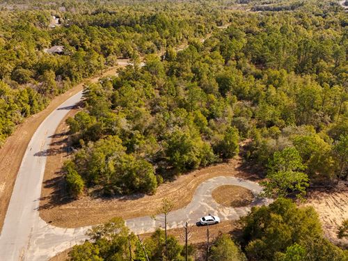 Vacant Lot, Quiet, Owner Financing : Chipley : Washington County : Florida