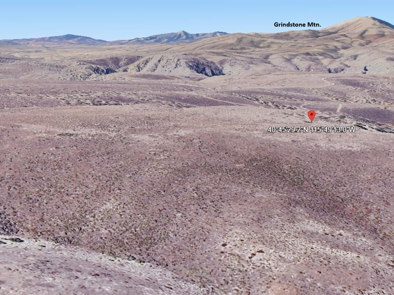 Step Off, Grid & Into Freedom : Elko : Elko County : Nevada