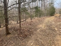 Cozy Ozark Lot for Camper / Trailer : Williford : Sharp County : Arkansas