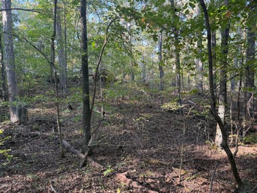 Build, Camp or Develop in Kentucky : New Concord : Calloway County : Kentucky