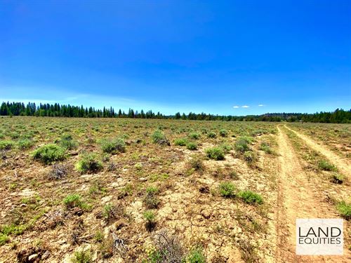 Bargain Priced 1.66 Acres Near Blm : Beatty : Klamath County : Oregon